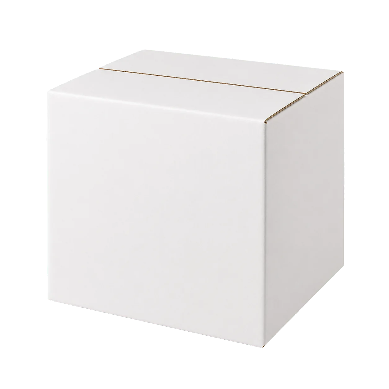[CT-RSC-WHT-001] White RSC Carton